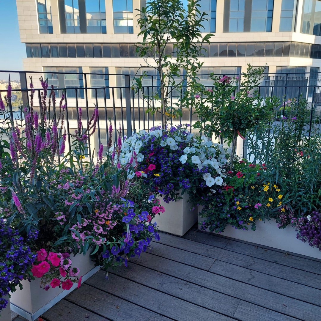 פרוייקט מרפסת בפנטהוז במשכנות האומה ירושלים